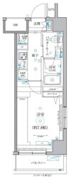 クオリタス菊川の物件間取画像